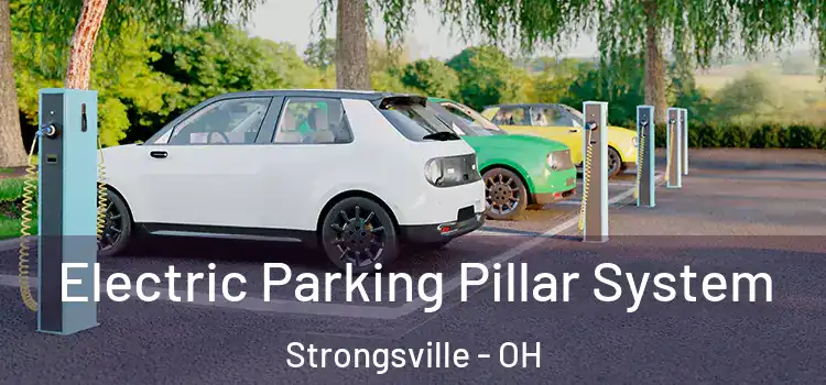 Electric Parking Pillar System Strongsville - OH