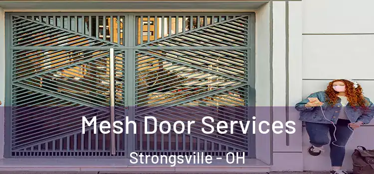 Mesh Door Services Strongsville - OH