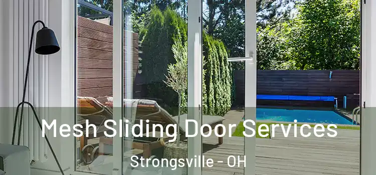 Mesh Sliding Door Services Strongsville - OH